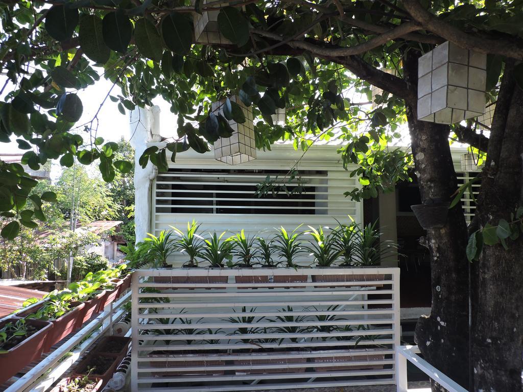 Orange Mangrove Pension House By Sms Hospitality Puerto Princesa Dış mekan fotoğraf